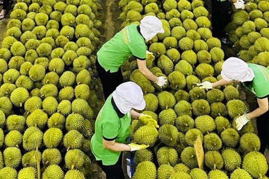 Giải phóng nguồn lực cho doanh nghiệp, hiện thực mục tiêu tăng trưởng