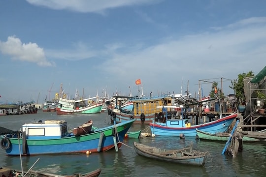 Chống khai thác IUU: Cấp biển số tạm cho tàu “3 không” để quản lý