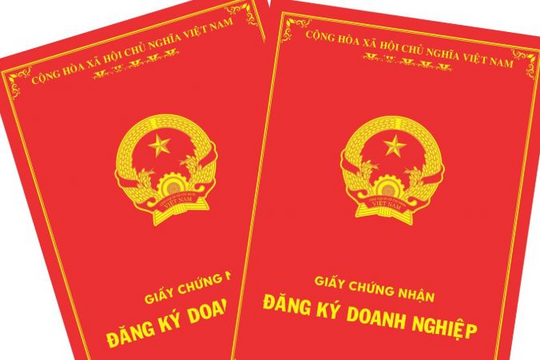 Thấy gì từ vụ một cá nhân đứng tên thành lập 116 doanh nghiệp tại TP.HCM?