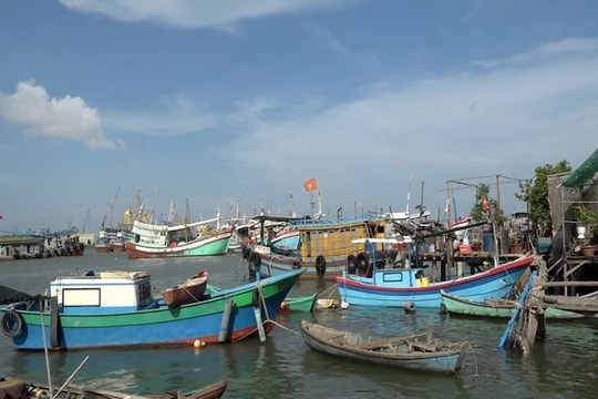 Chống khai “IUU”: Cần ý thức tuân thủ của chủ tàu và ngư dân