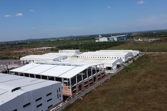 Ra mắt 2 dòng sản phẩm nhựa nguyên sinh đầu tiên tại Việt Nam