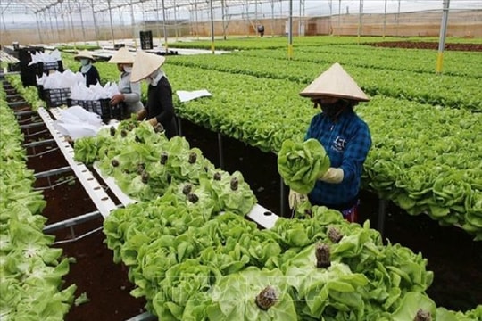 Khởi nghiệp xanh: Hướng phát triển bền vững cho các doanh nghiệp khởi nghiệp