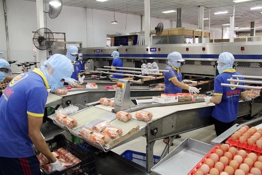 Nghị định 09/2016 làm "khổ" doanh nghiệp thực phẩm đến bao giờ?