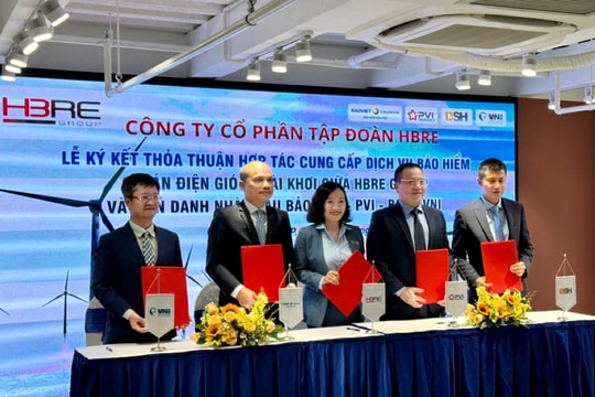 VNI đồng bảo hiểm dự án điện gió ngoài khơi 1 tỷ USD