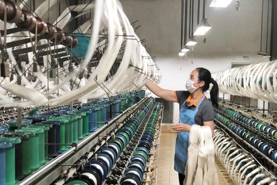 Bức tranh tổng sản phẩm trên địa bàn của các tỉnh trong khu vực Tây Nguyên chưa hài hoà