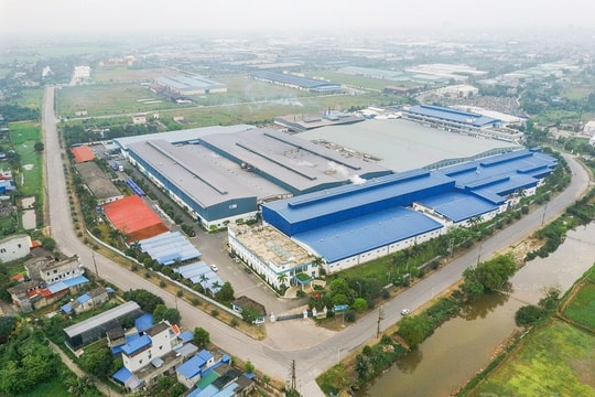 Nam Định: Mở cửa đón doanh nghiệp Nhật Bản về đầu tư, kinh doanh