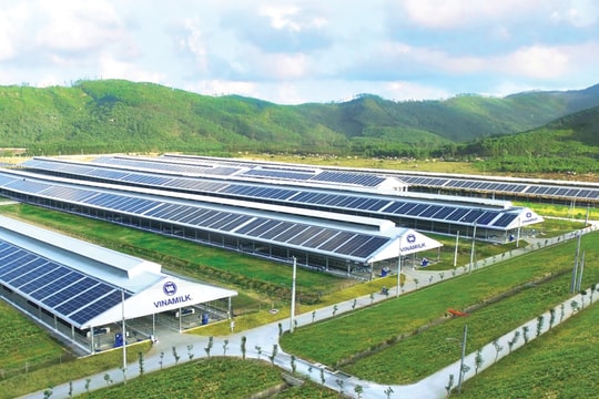 Cách vượt qua thách thức theo đuổi ESG
