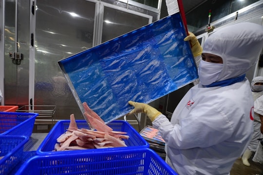 Sửa Nghị định 09/2016/NĐ-CP: Bất cập vẫn còn nguyên