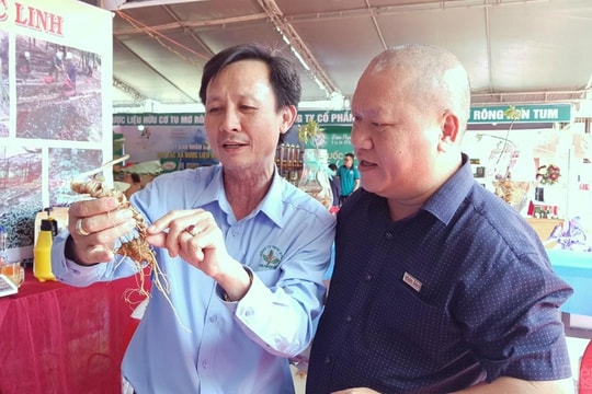 Xây dựng thương hiệu cho nông sản Tây Nguyên