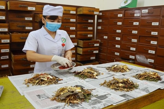 Giải bài toán phát triển ngành dược liệu