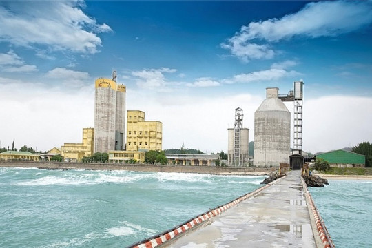 Tiêu thụ xi măng gặp khó, HVX lỗ quý thứ 5 liên tiếp