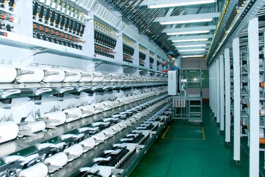 STK lỗ kỷ lục do đâu?