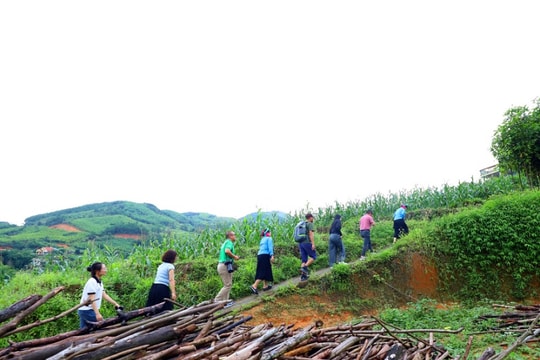 Hấp dẫn du lịch bản địa