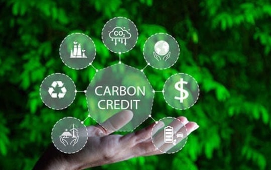 Sự hợp tác đột phá trong phát triển thị trường tín chỉ carbon toàn cầu
