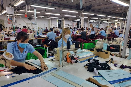 Quy định pháp luật về tiền lương khi tạm đình chỉ công việc