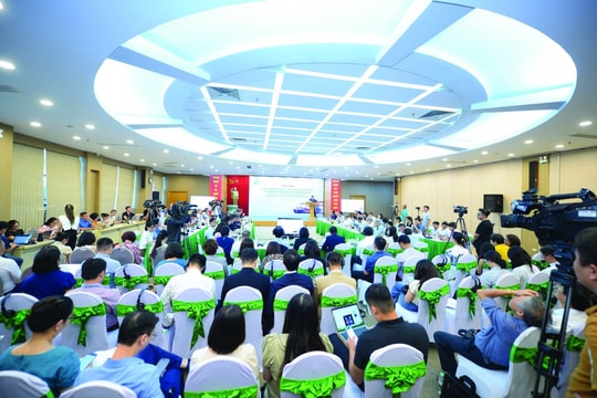 “Bước đệm” hiện thực hoá  phát triển logistics xanh