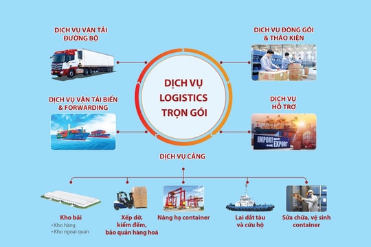 THILOGI nâng cấp chuỗi dịch vụ logistics trọn gói
