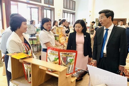 Đà Nẵng đẩy mạnh công tác xúc tiến xuất khẩu hàng hóa