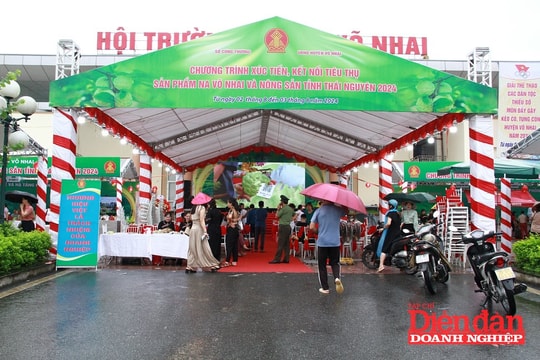 Thái Nguyên: Nâng cao khả năng cạnh tranh cho na Võ Nhai