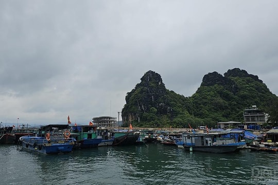 Tăng sức hút cho du lịch Vân Đồn
