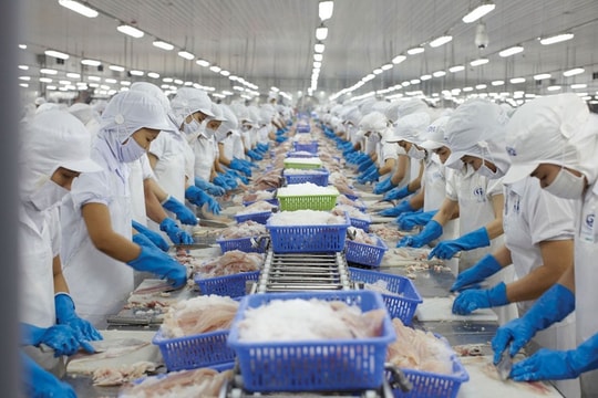 Xuất khẩu thuỷ sản đạt “đỉnh”