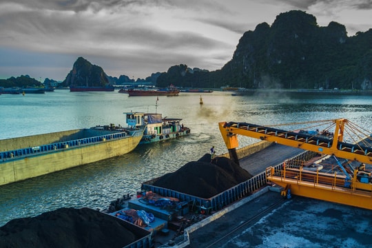 TKV sẽ nhập khẩu 1,2 triệu tấn than trong tháng 8