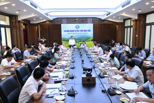 Cần thiết thành lập Hội đồng lúa gạo quốc gia