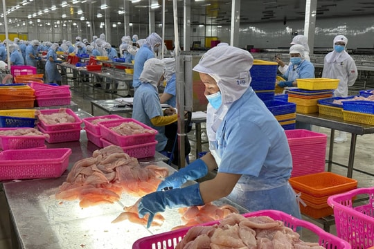 Thị trường Mỹ đón nhận cá tra Việt Nam