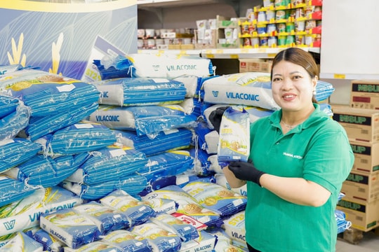 Vilaconic cùng Tamda Group đưa gạo ST25 vươn tới thị trường Châu Âu