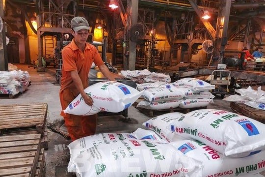 “Bước ngoặt” của DPM