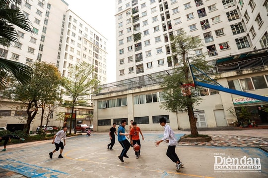 Nghị định 100/2024: “Cú hích” thúc đẩy phát triển nhà ở xã hội