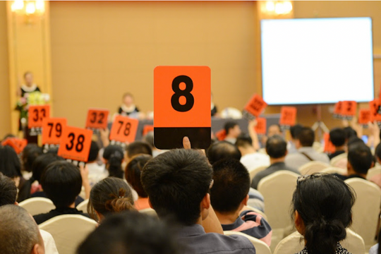 Giải pháp hạn chế đấu giá đất "bất thường"