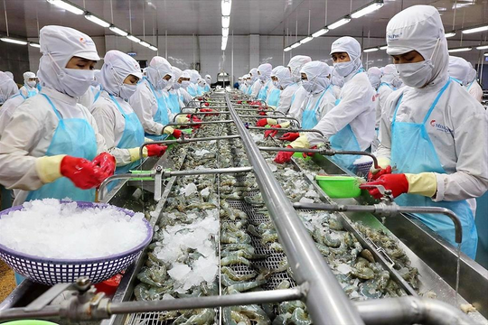 Good883 Cá cược thể thao tăng mạnh, Trang Chủ Nhà Cái Good88.com ngành 115Good88 com nhà cái làm ăn ra sao?
