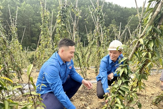 Tạo môi trường hỗ trợ thanh niên khởi nghiệp