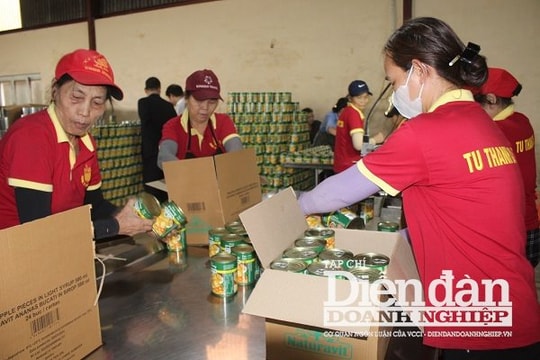 Thanh Hóa: Doanh nghiệp xuất nhập khẩu gặp khó