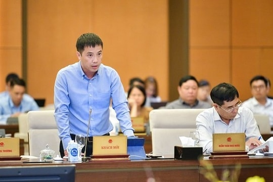 Áp thuế VAT 5% với phân bón: Người nông dân có chịu thiệt?