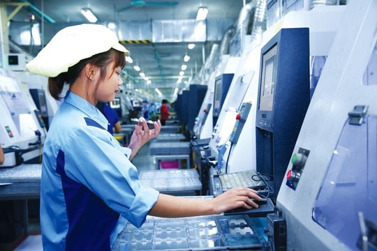 Nâng cao năng suất chất lượng sản phẩm góp phần thúc đẩy phát triển bền vững tại các địa phương