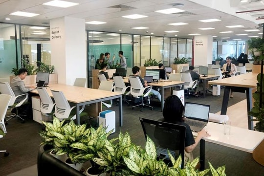 Nguồn nhân lực ngành chip Việt Nam “hút” khách?