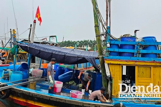 Hải Phòng: Dồn lực gỡ “thẻ vàng” thuỷ sản