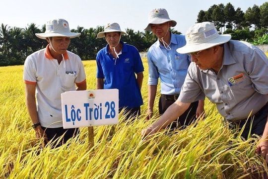 Doanh nghiệp thành công thu về hàng tỷ đồng nhờ áp dụng triết lý Kaizen trong sản xuất