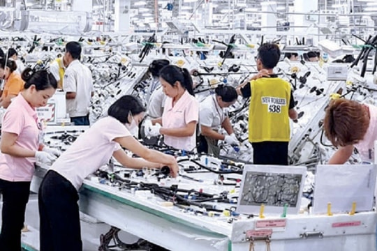 Hải quan Thái Bình: Thu thuế xuất nhập khẩu gặp nhiều khó khăn