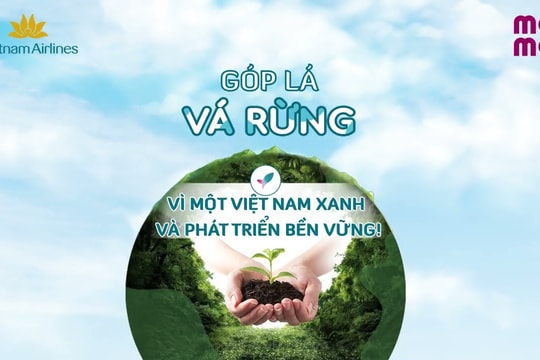 70 ngày và hành trình phủ xanh hơn 27 hecta rừng của Vietnam Airlines