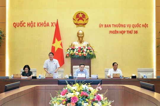 Quy định “mở” để xã hội hóa truyền tải điện