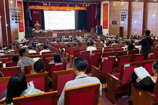 Thấy gì từ những phiên đấu giá đất "bỏng tay" tại ngoại thành Hà Nội?