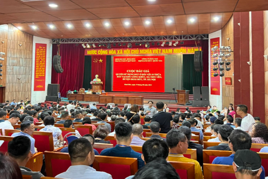 Lý do nào khiến các phiên đấu giá ngoại thành Hà Nội sôi động?