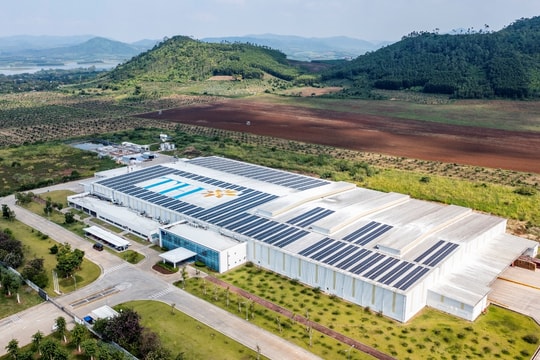 Tiên phong thực thi ESG ở cụm trang trại lớn nhất thế giới của Tập đoàn TH