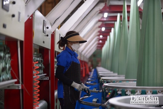 Cân nhắc ngưỡng doanh thu được hưởng thuế suất ưu đãi