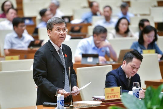 Khi nào “kỳ án gỗ trắc” tại Quảng Trị được giải quyết?