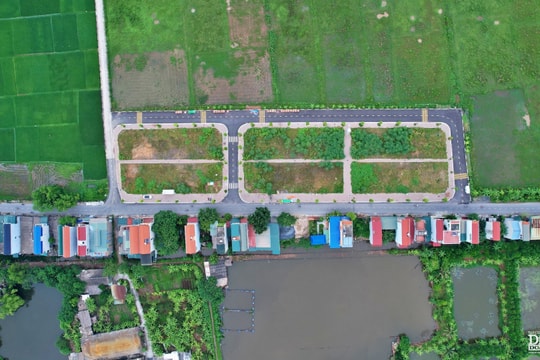 Phi lý đấu giá đất ngoại thành Hà Nội, do đâu?