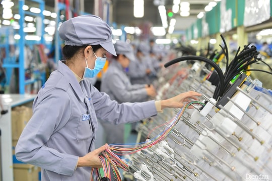 Các địa phương miền Trung đều chú trọng “xanh hóa” kinh tế
